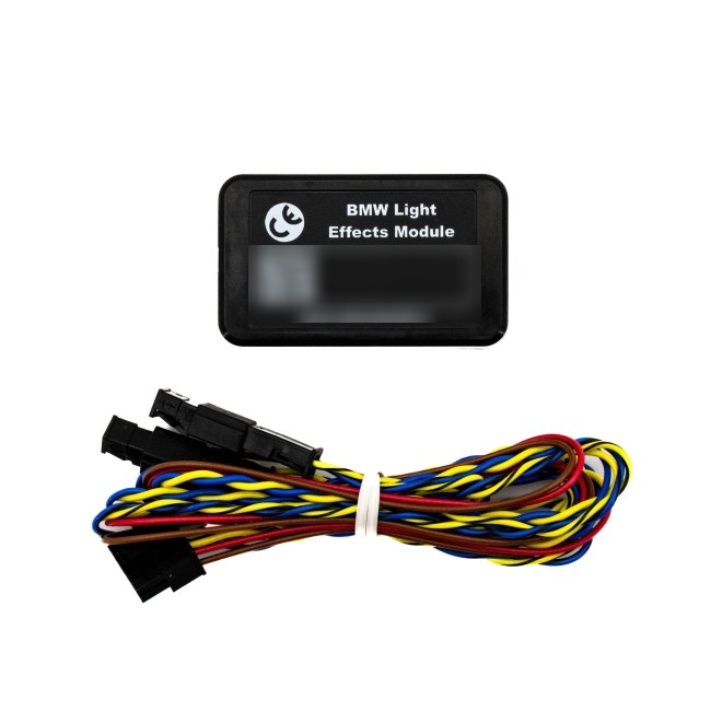 BMW Flashing Strobe HeadLight Effects Module - Headlight Modules
